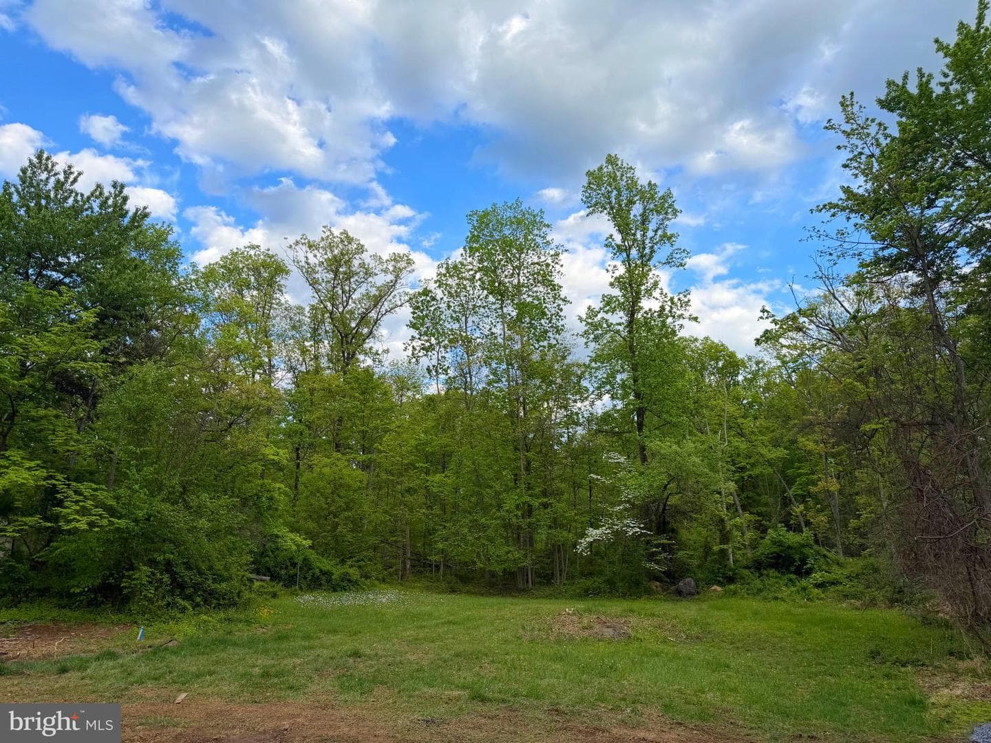 318 Marienstein Road photo 52