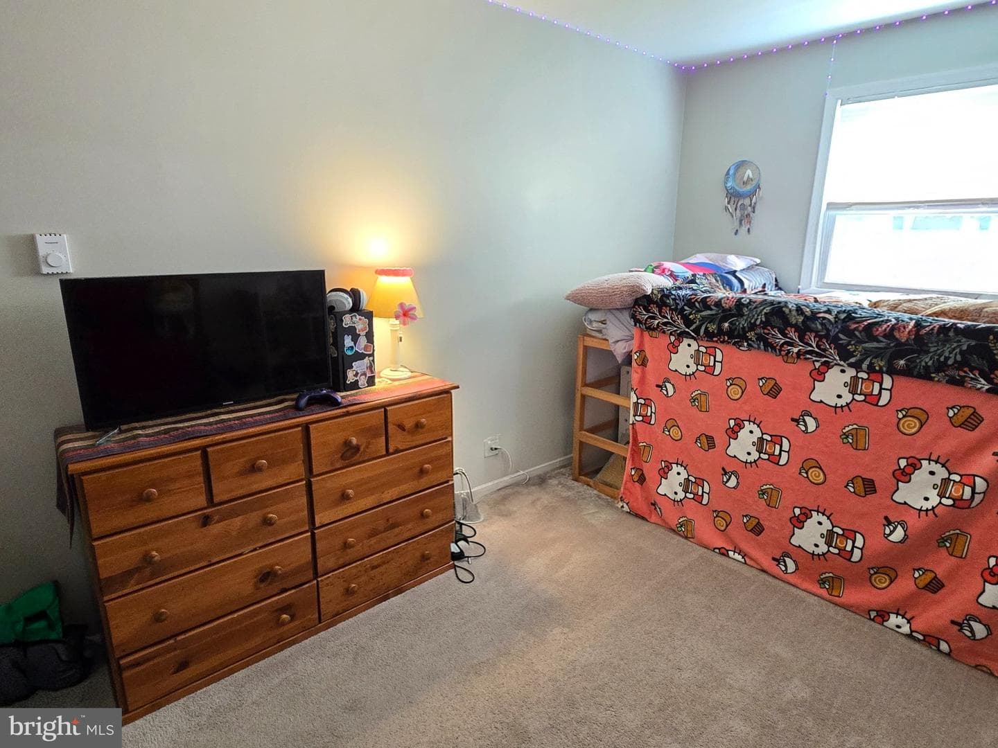 178 Elephant Road #b13 photo 17
