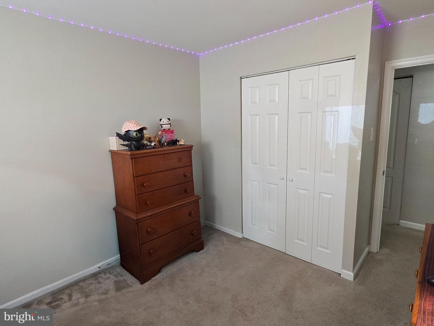 178 Elephant Road #b13 photo 19
