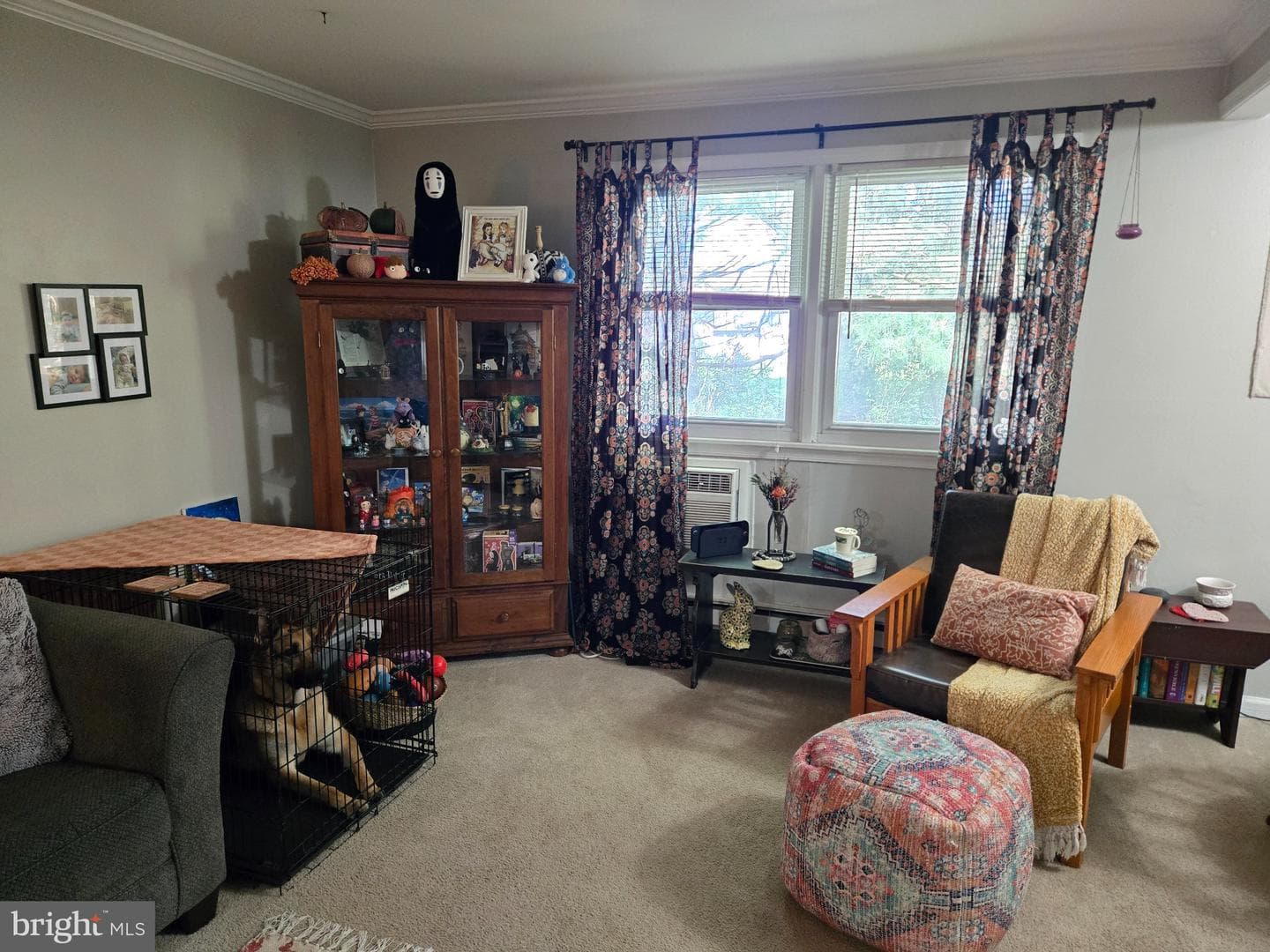 178 Elephant Road #b13 photo 4