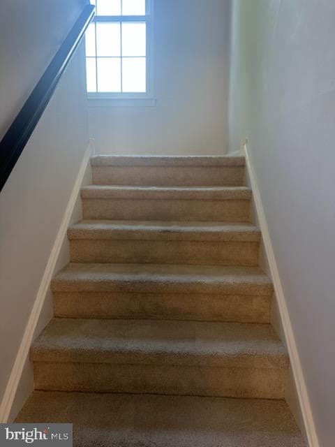 24 Craig Court photo 12
