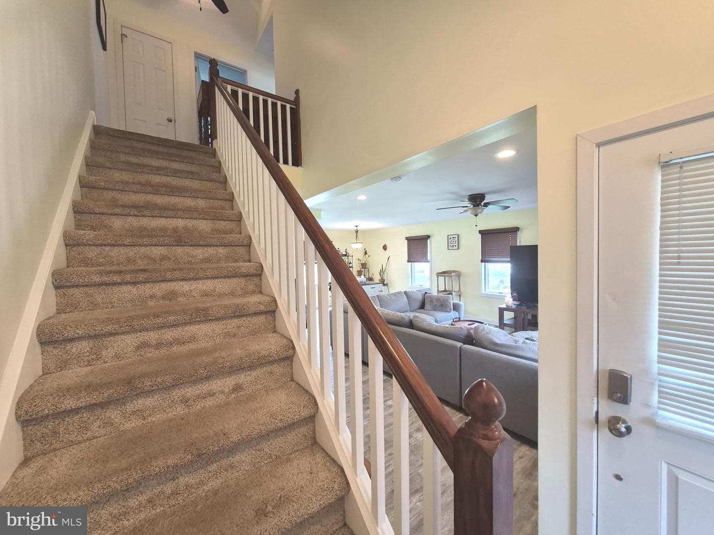 145 Diamond Street #c photo 25