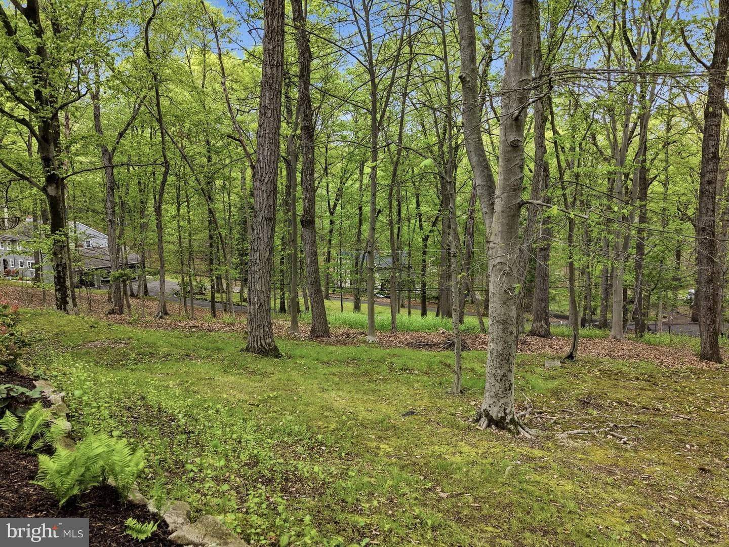 3858 Dogwood Lane photo 5