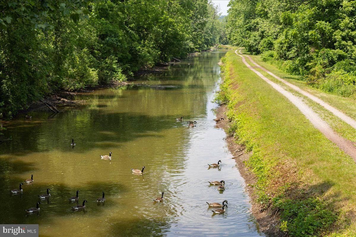 1558 River Road photo 52