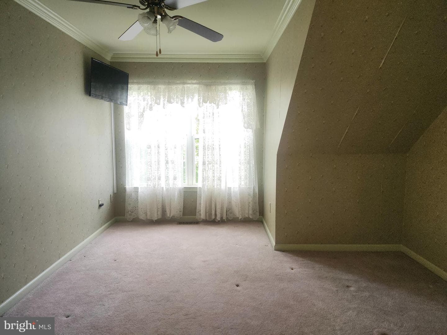 105 Liberty Dr photo 13