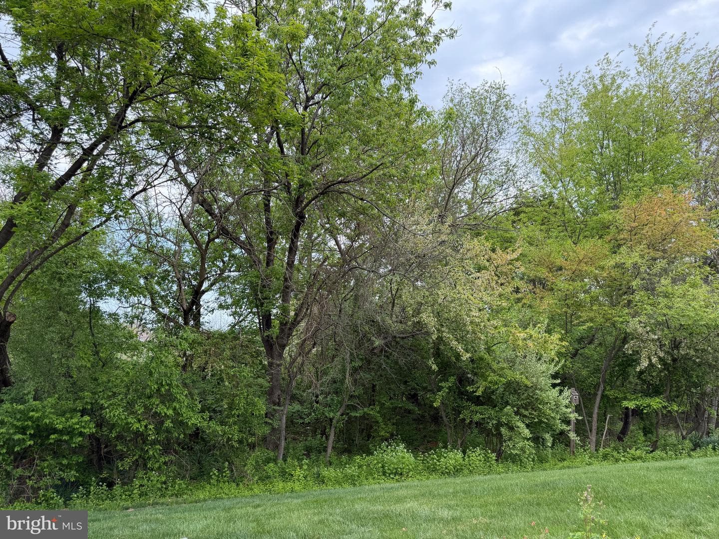 210 Reagan Drive photo 31