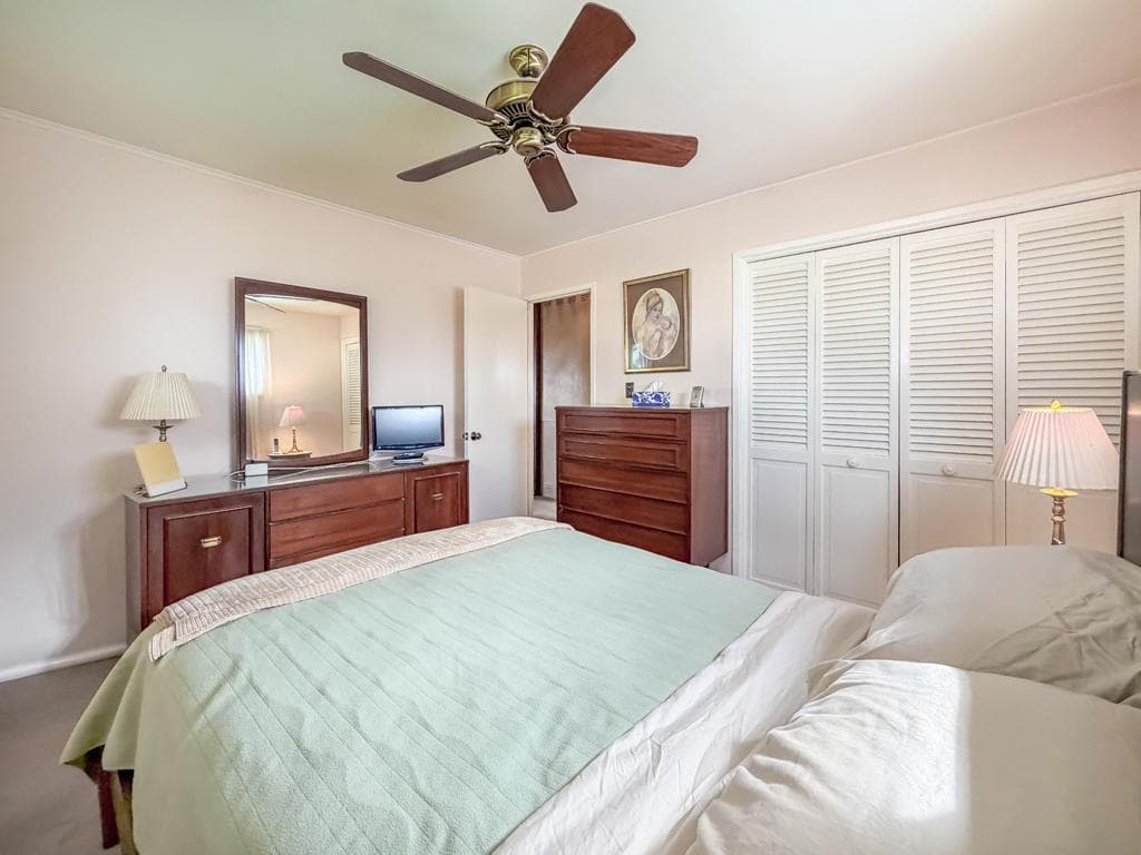 44 Cotton Road photo 16