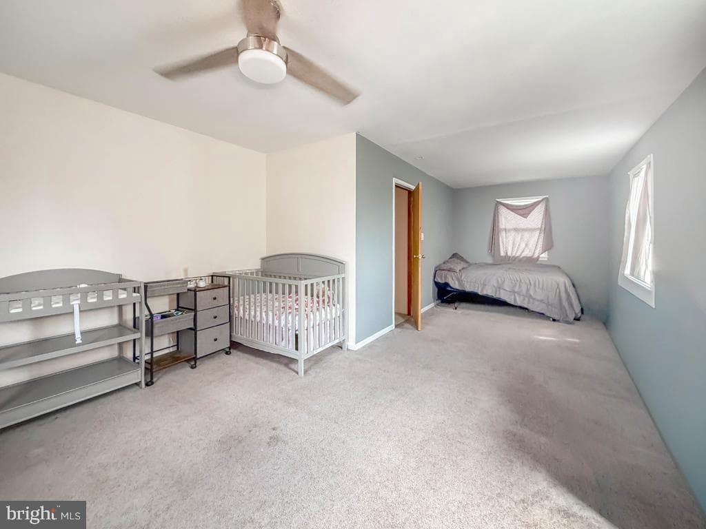 478 Cedar Avenue photo 23