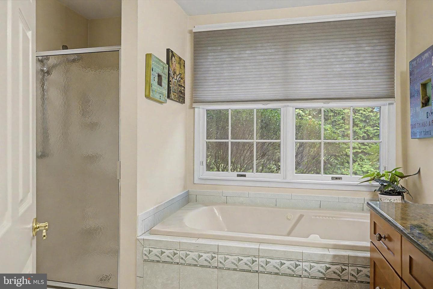 117 Greenbrook Court photo 23
