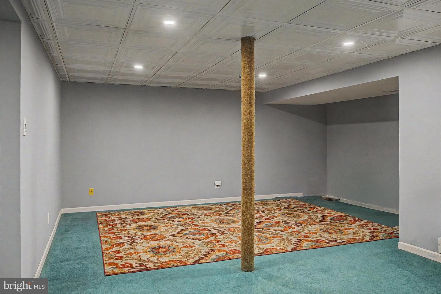 117 Greenbrook Court photo 38