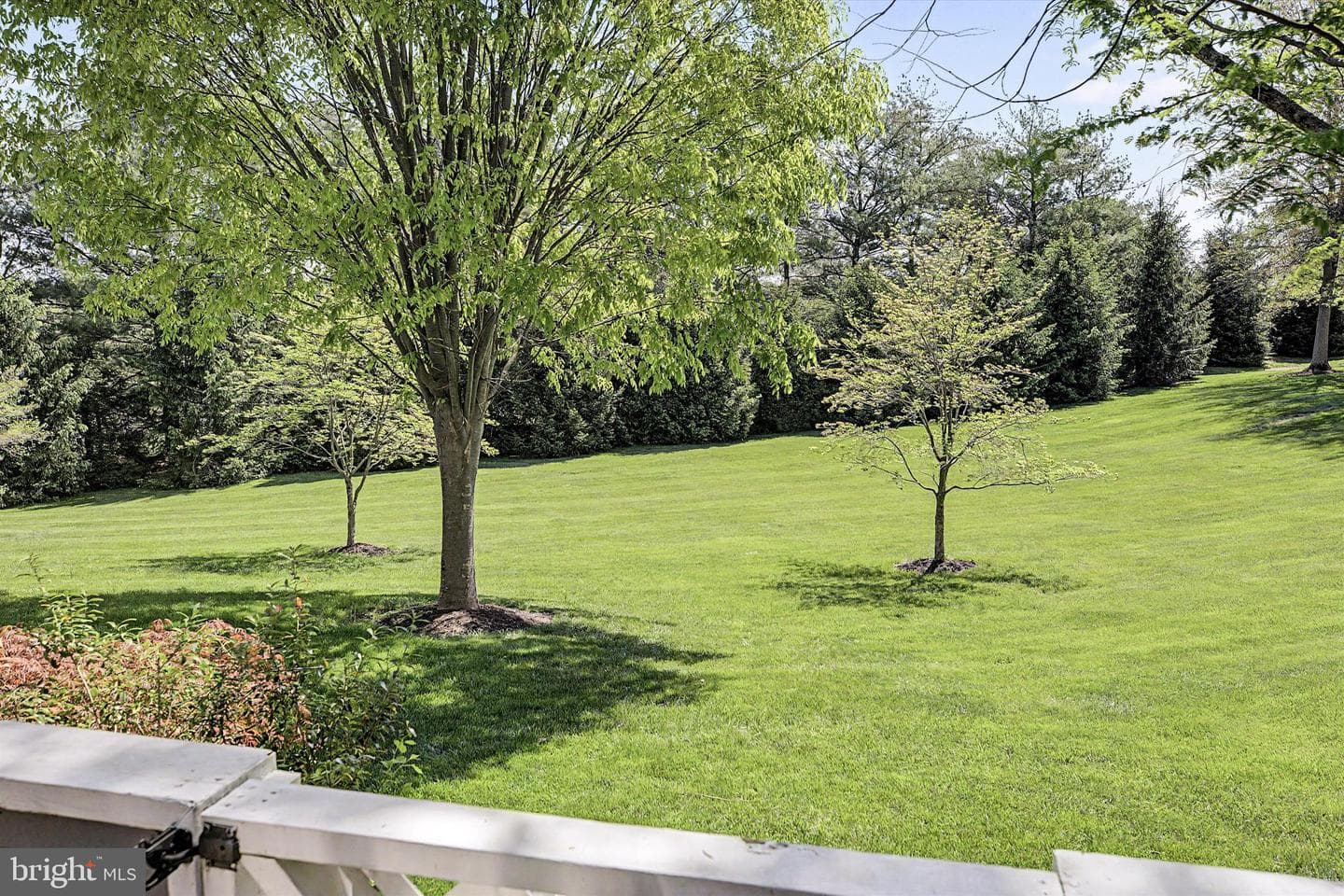 117 Greenbrook Court photo 7