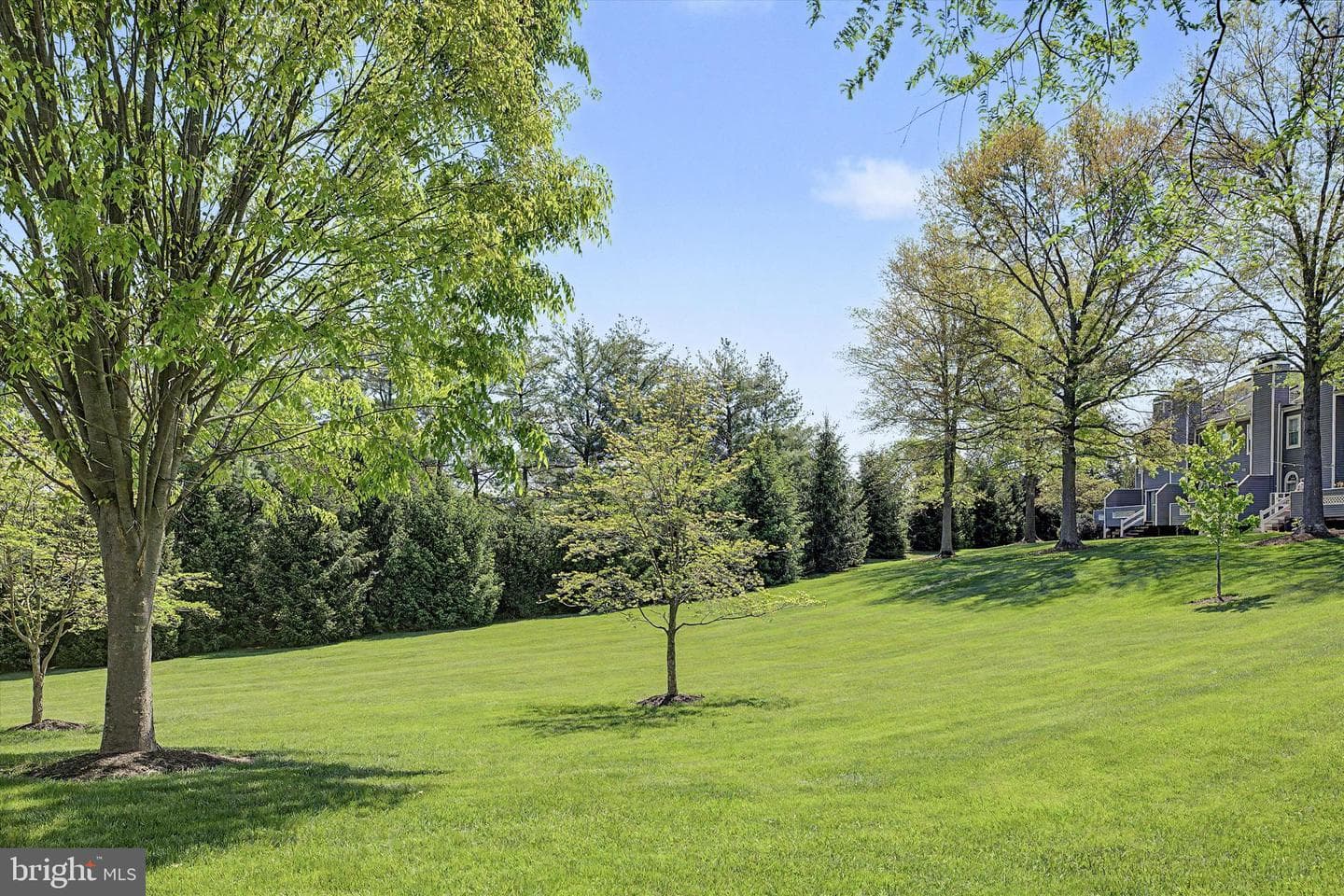 117 Greenbrook Court photo 8