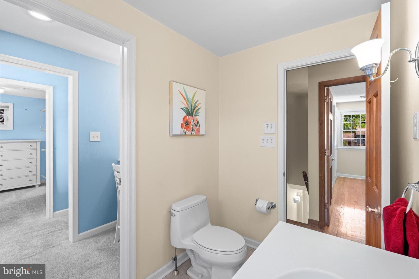 244 Wisteria Drive photo 31