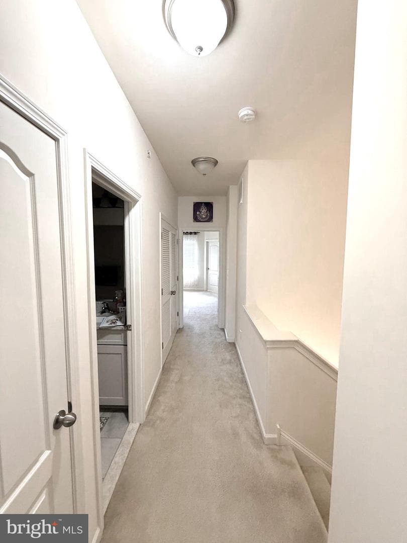 2313 Macis Circle photo 20