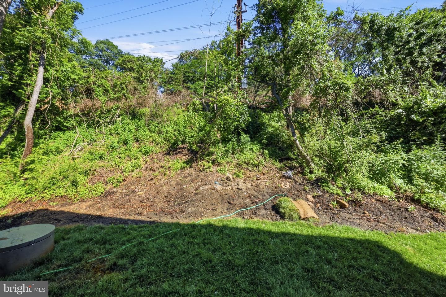 891 Reading Avenue photo 55