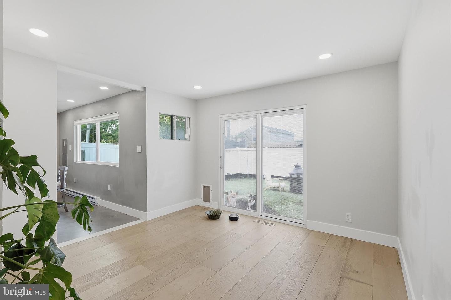 342 Chelsea Road photo 22