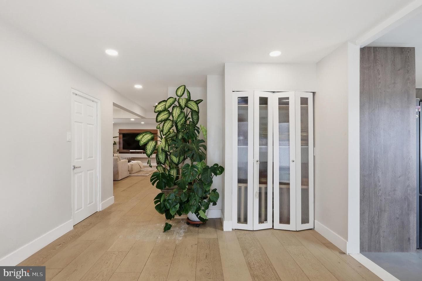 342 Chelsea Road photo 23
