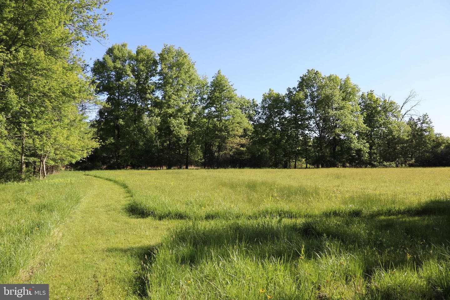 1603 Chestnut Ridge Road photo 37