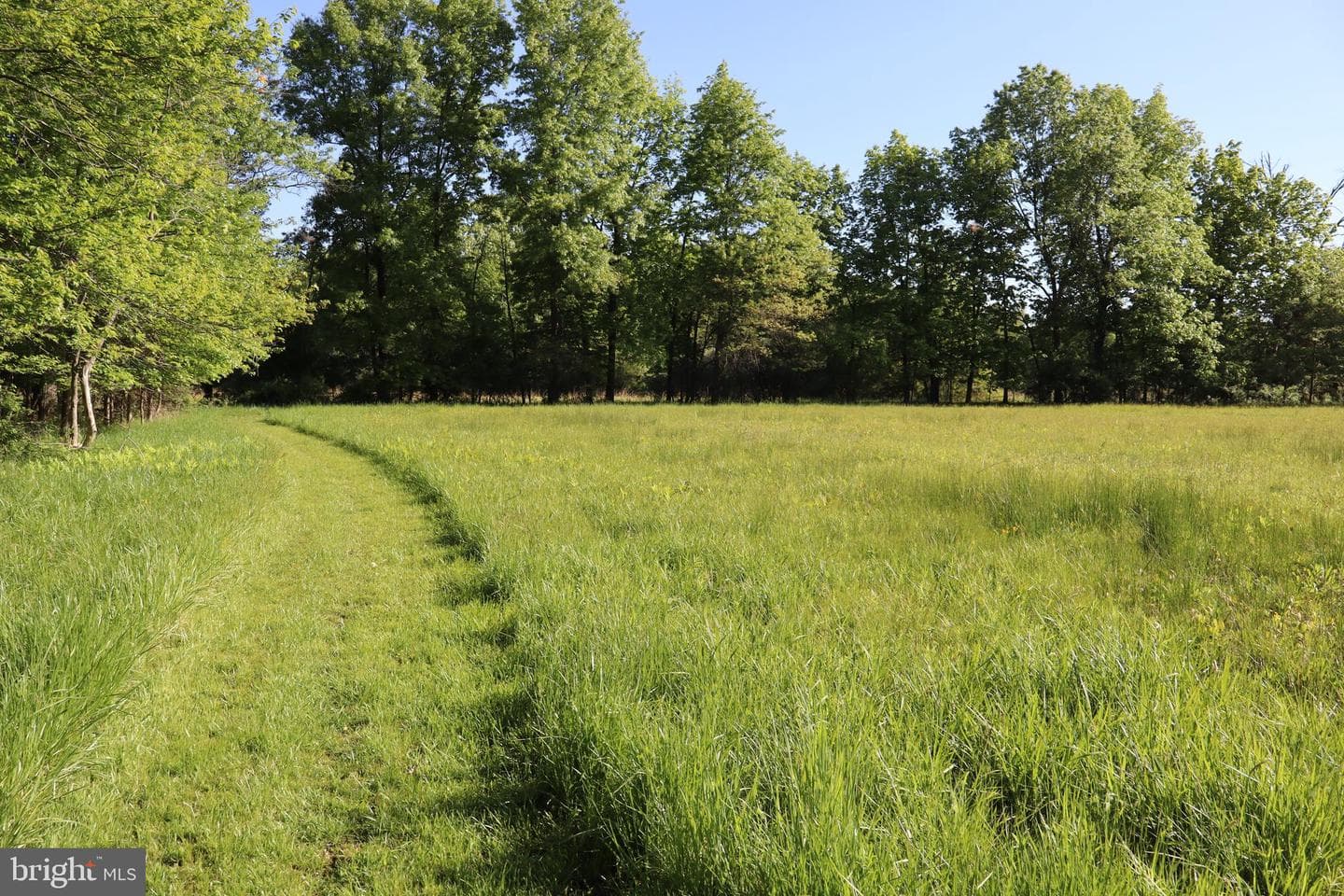 1603 Chestnut Ridge Road photo 38