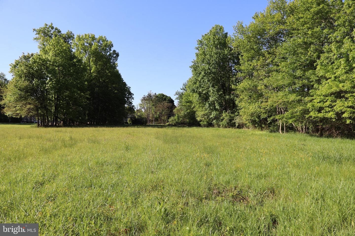 1603 Chestnut Ridge Road photo 41