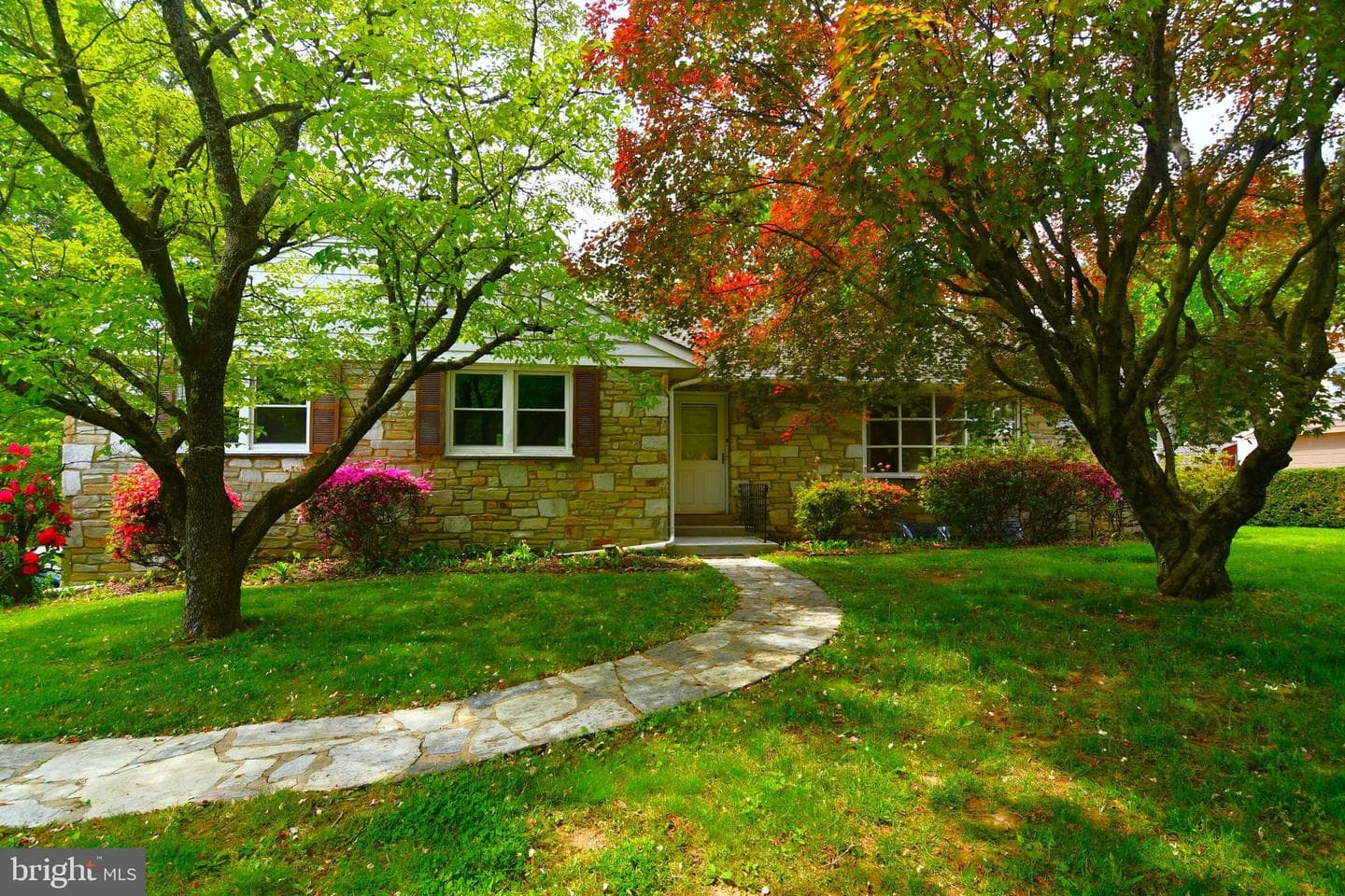 800 Bluebell Road photo 1