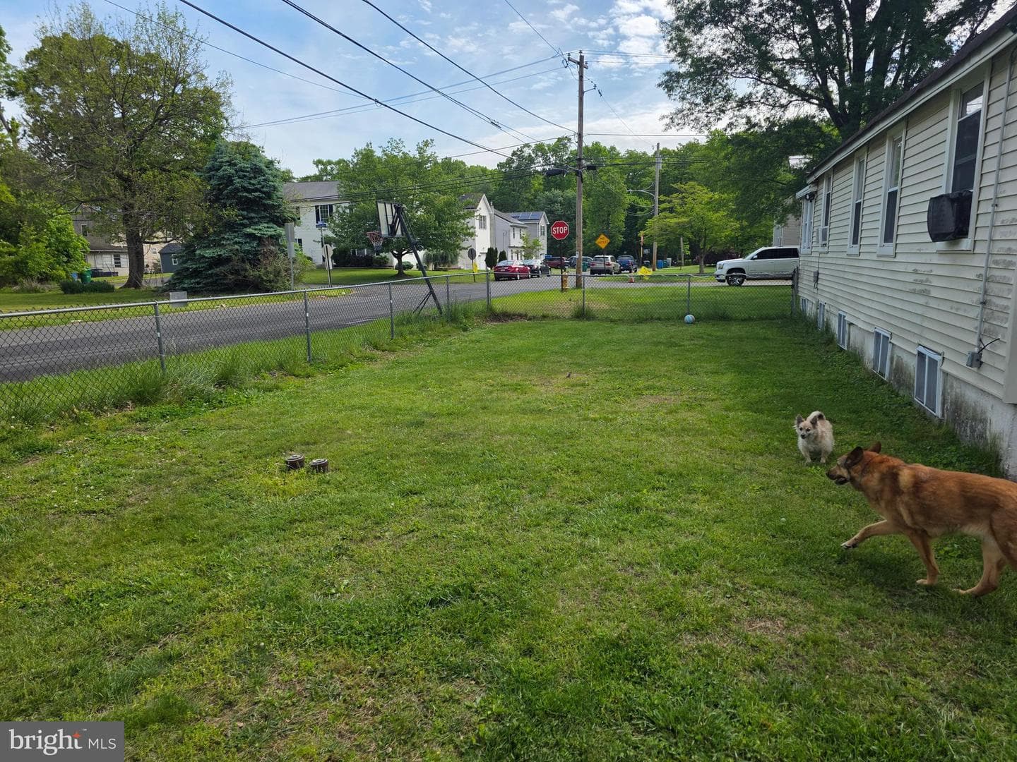 301 Franklin Street photo 6