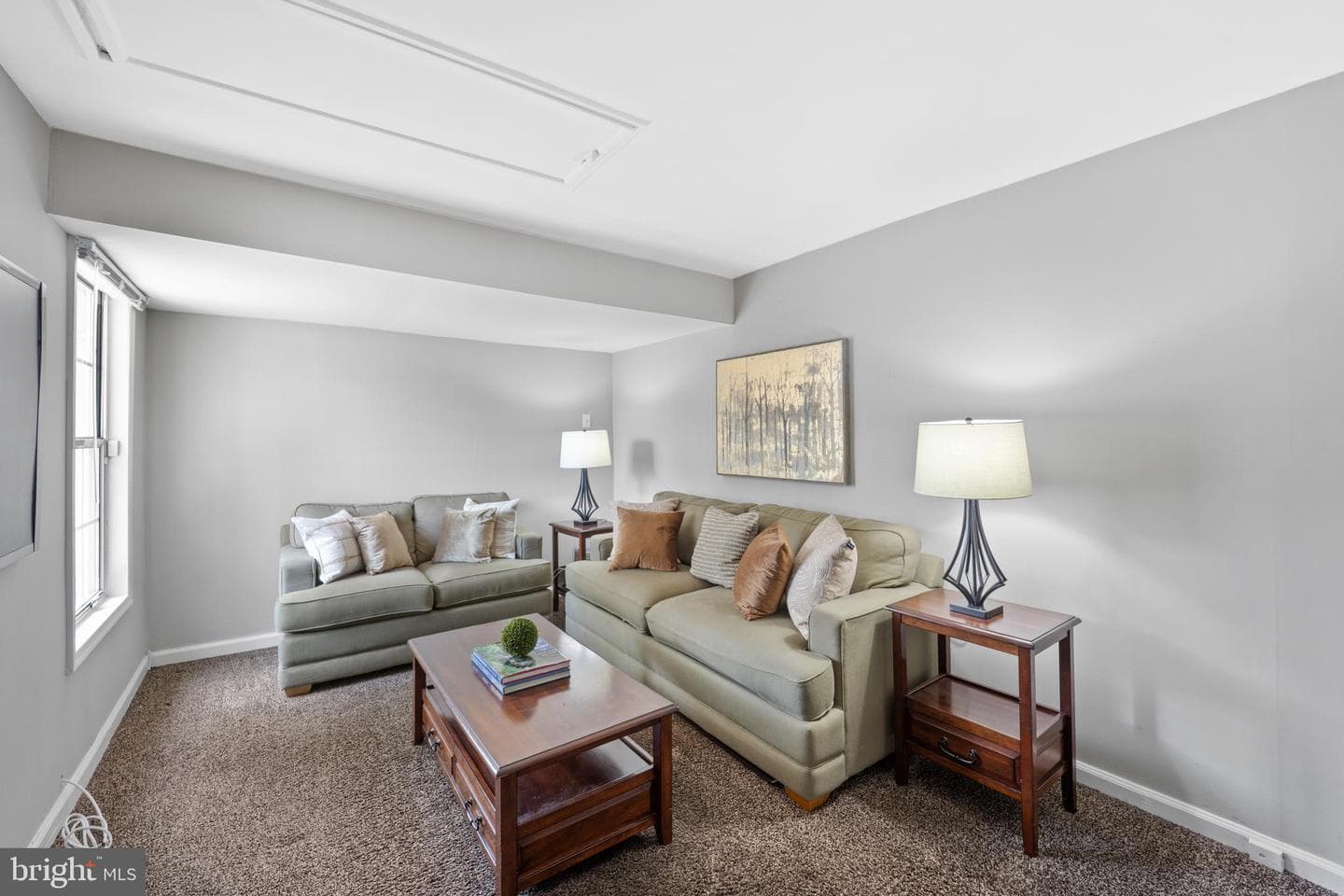 1609 McNelis Drive photo 9