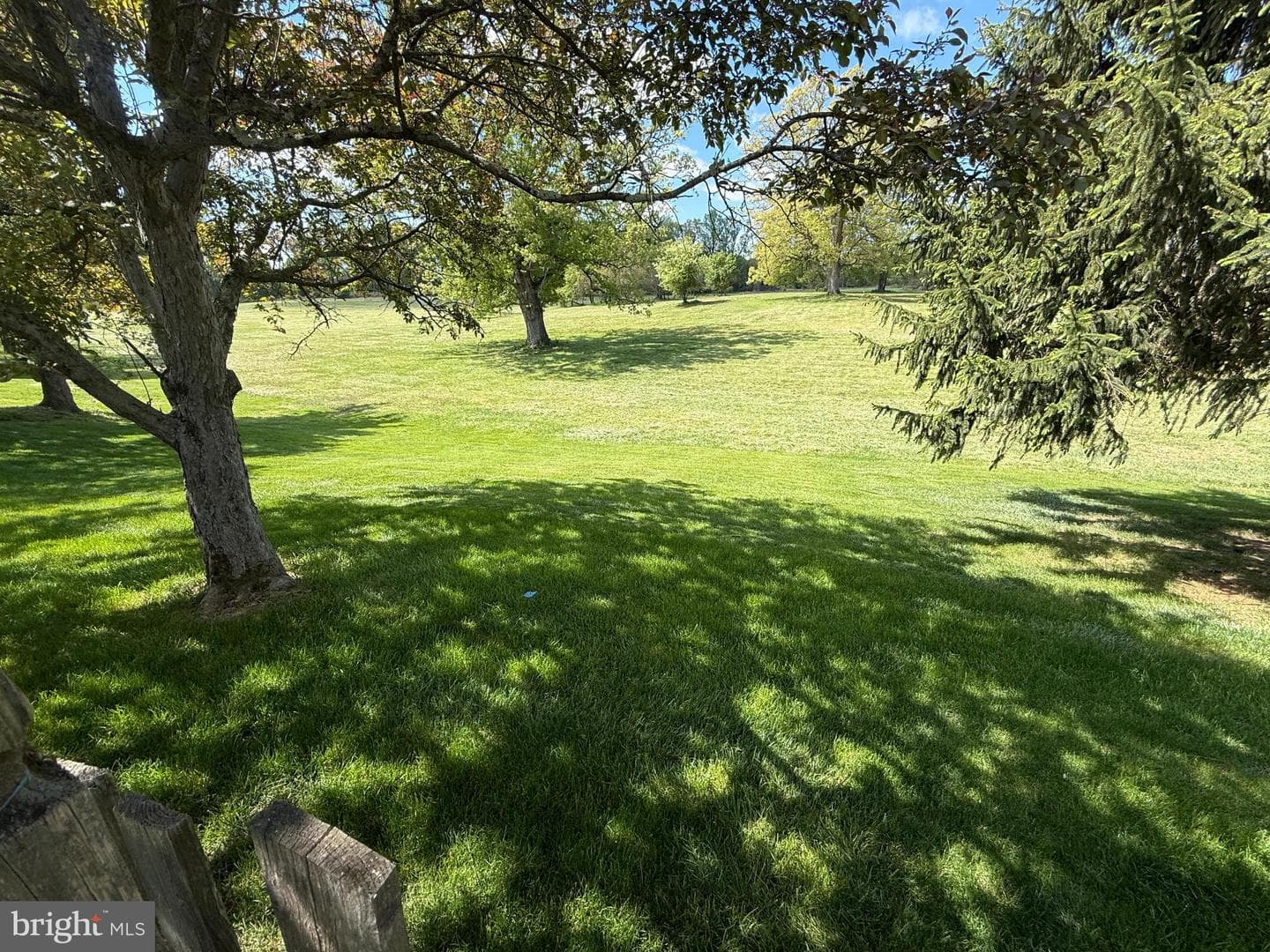 81 Kirkwood Drive photo 3