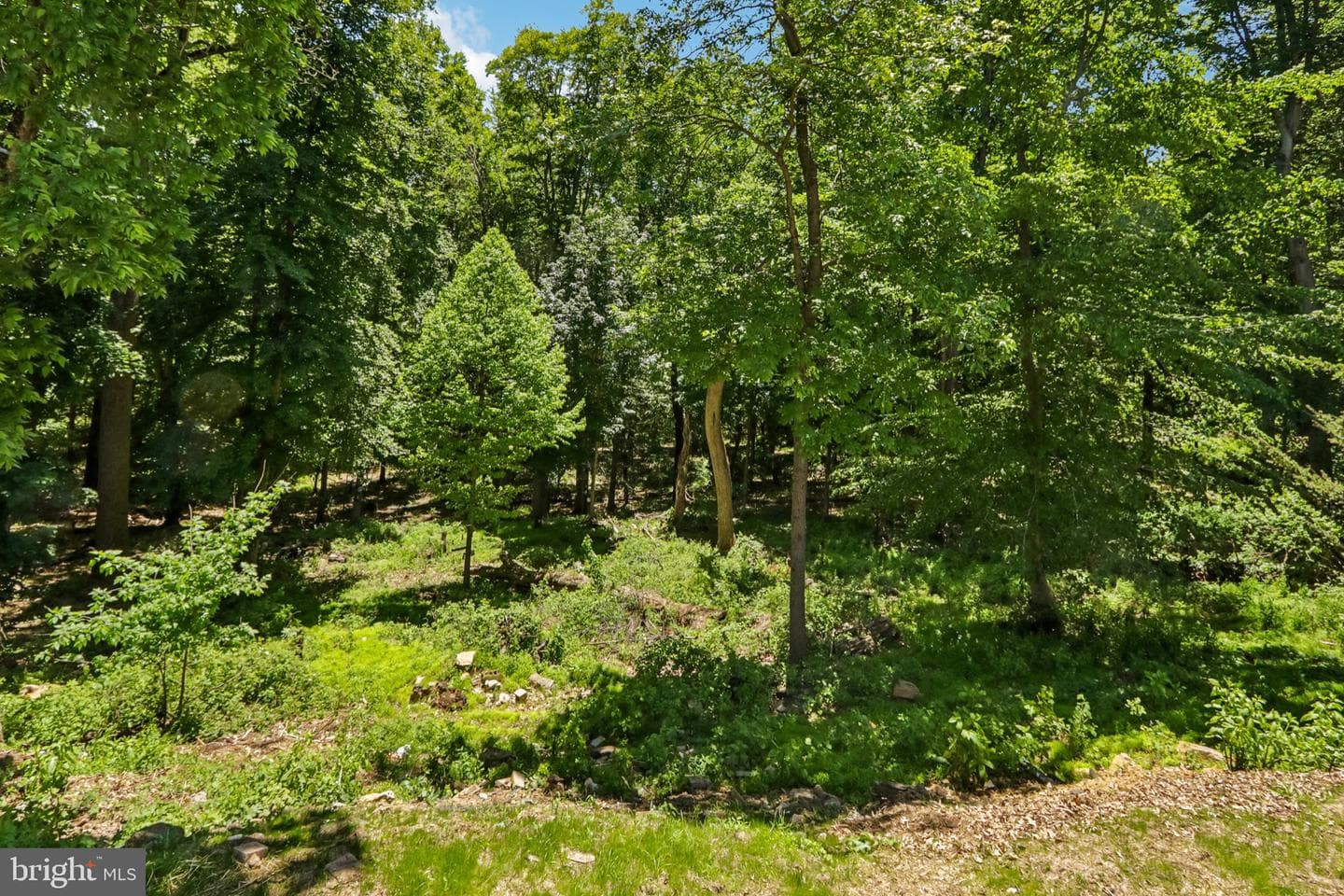 444 Rocksville Road photo 71