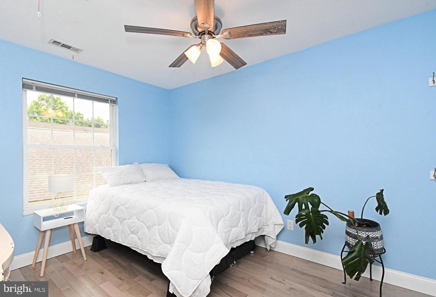 438 Quincy Avenue photo 37
