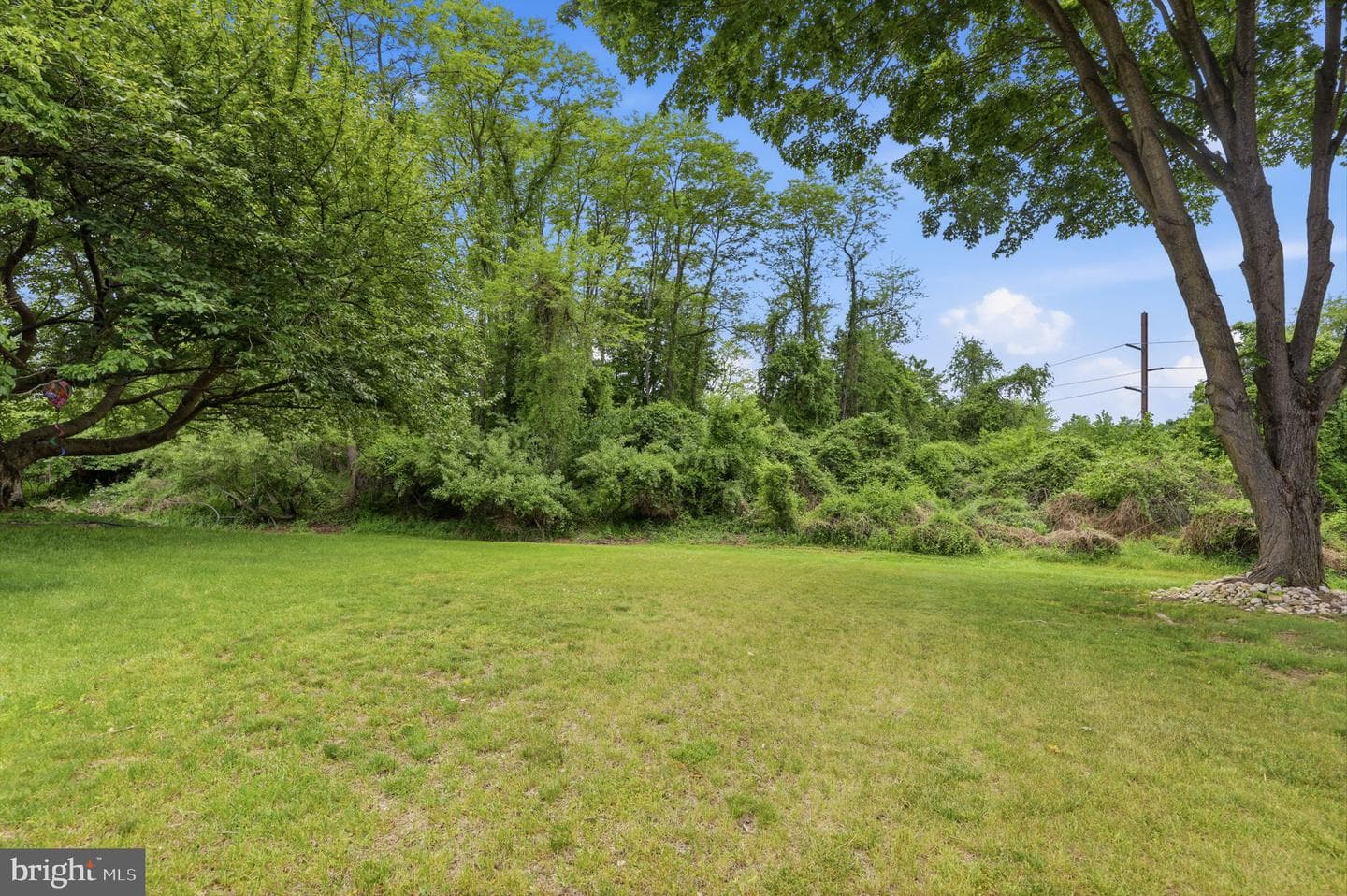 331 Basswood Circle photo 43