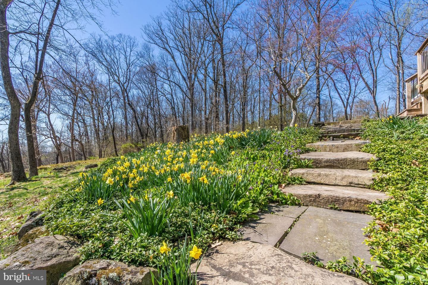 20 Solebury Mountain Road photo 34
