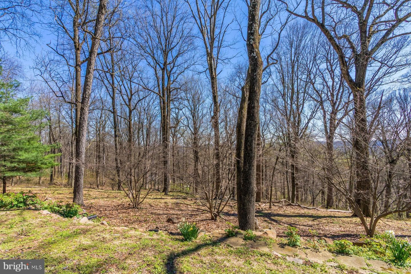 20 Solebury Mountain Road photo 37