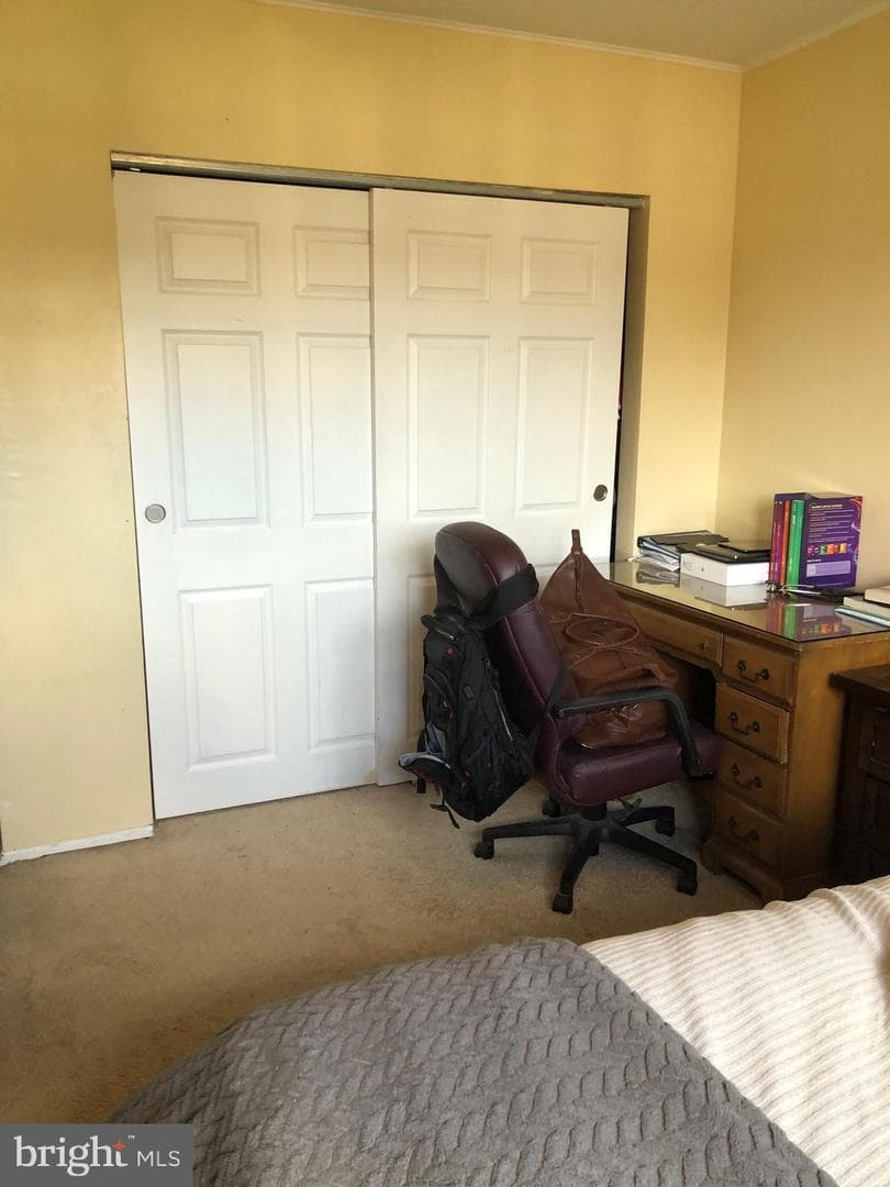 208 Bradley Court photo 38