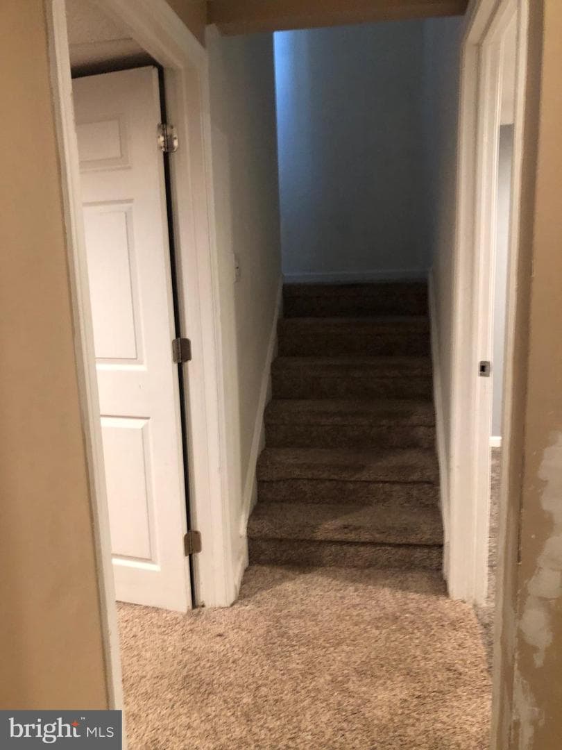 208 Bradley Court photo 49