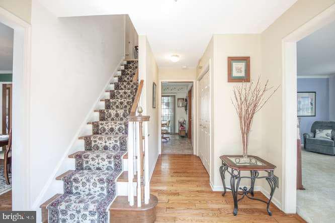 3881 Terwood Drive photo 10