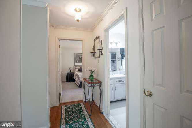 3881 Terwood Drive photo 40