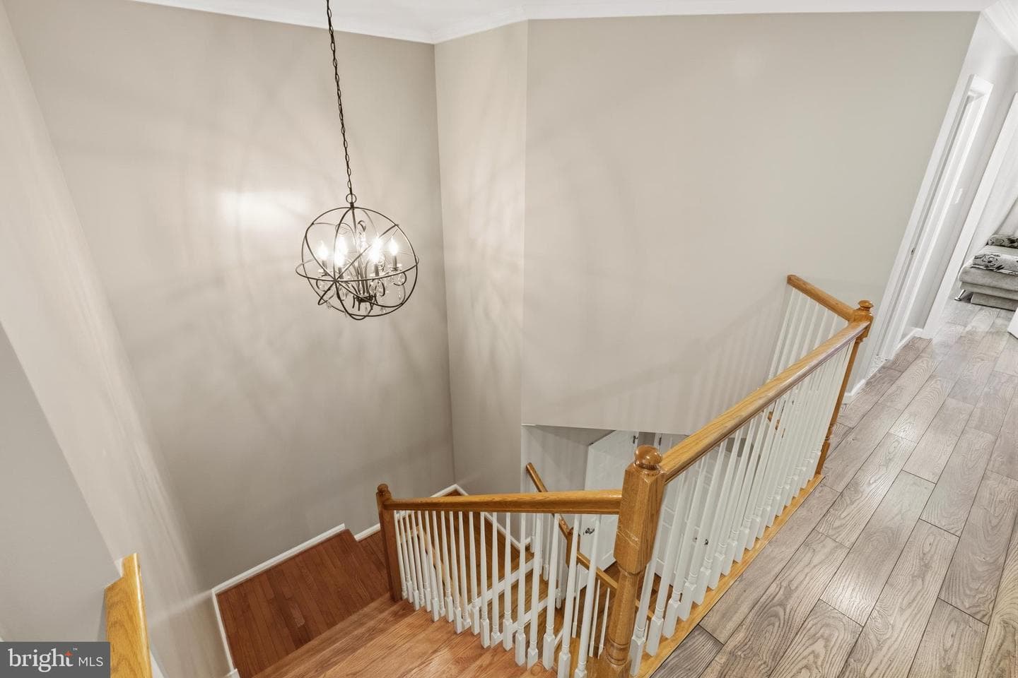24 Brewster Drive photo 40