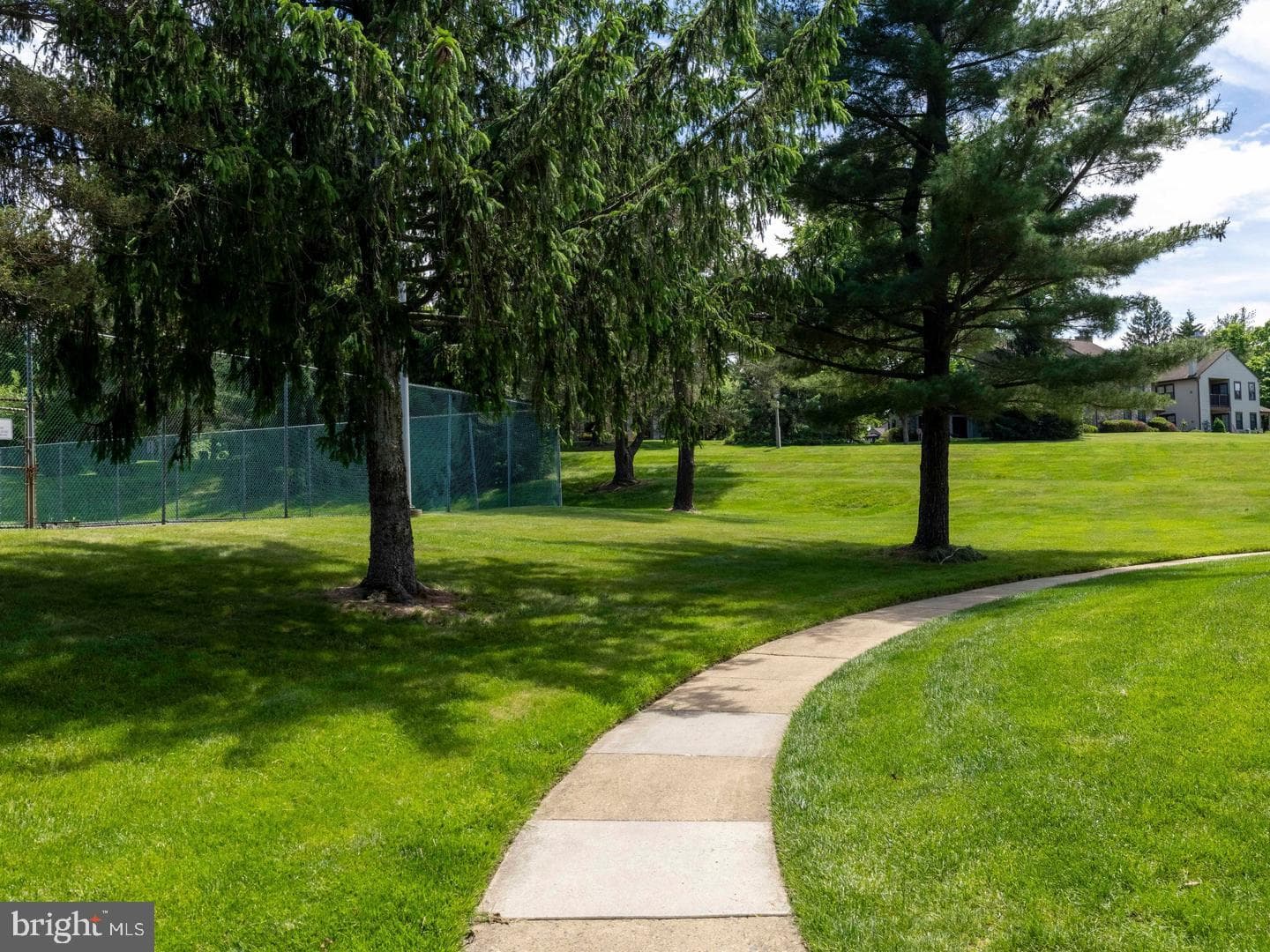 183 Basswood Court photo 21