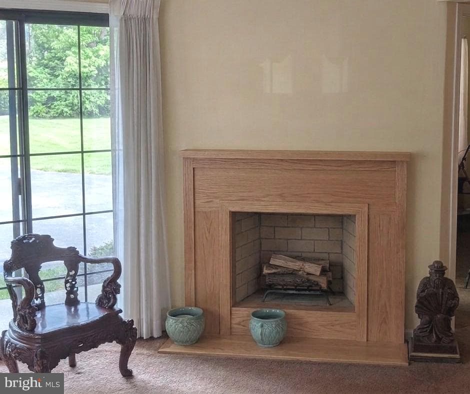 183 Basswood Court photo 6