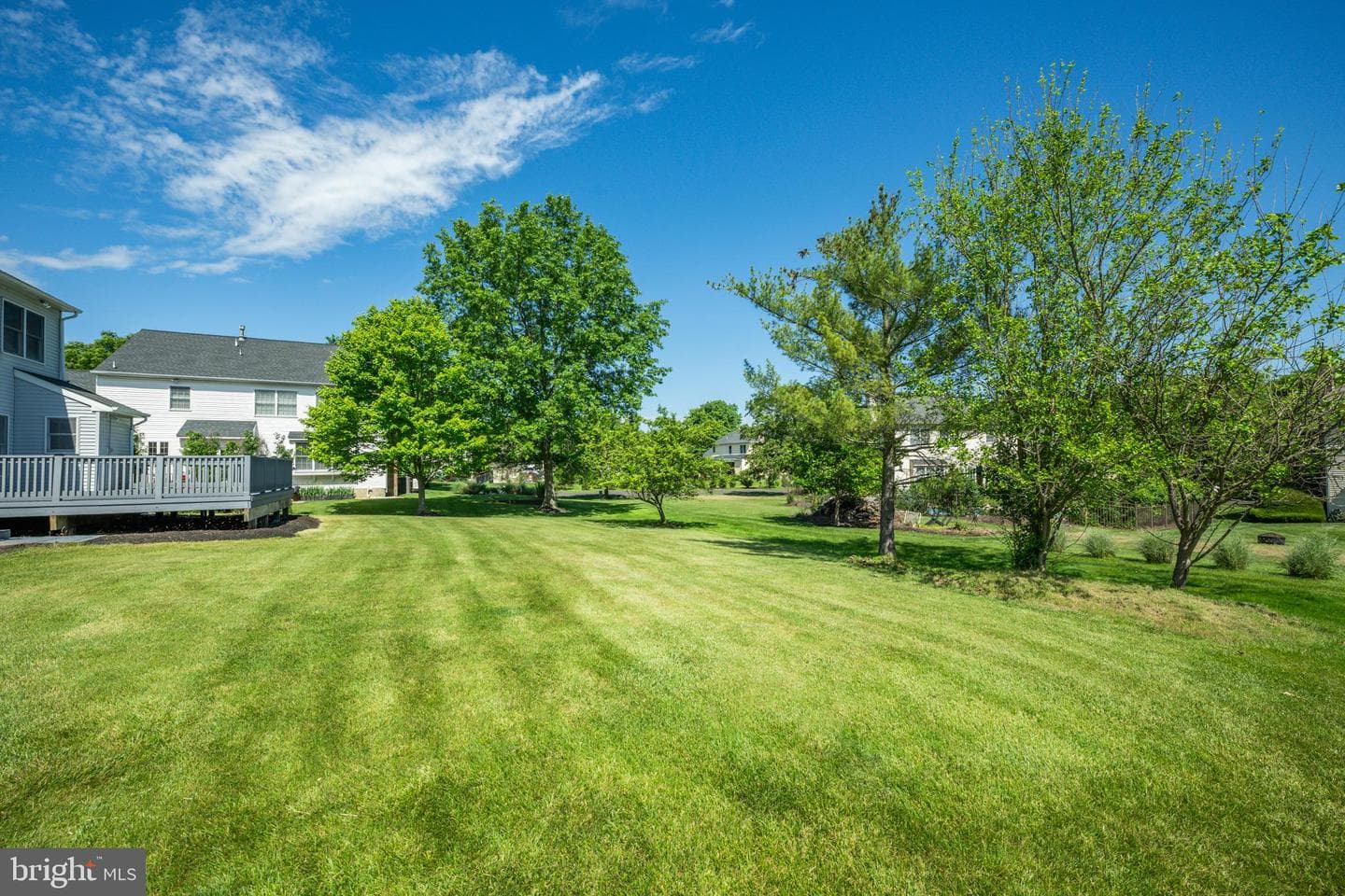1443 Bayberry Drive photo 7