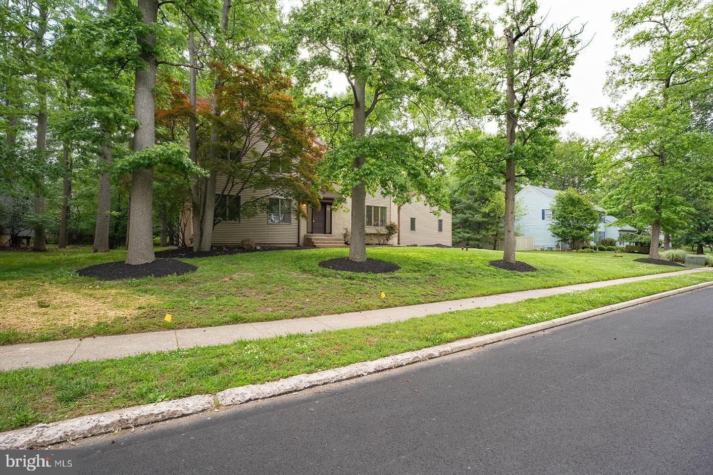 491 Kings Road photo 4