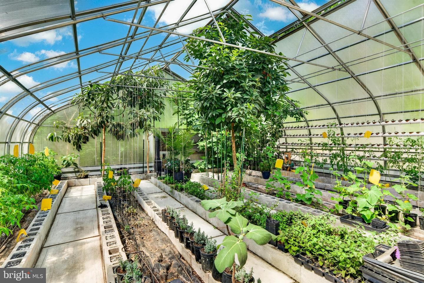 675 Rock Hill Road photo 49