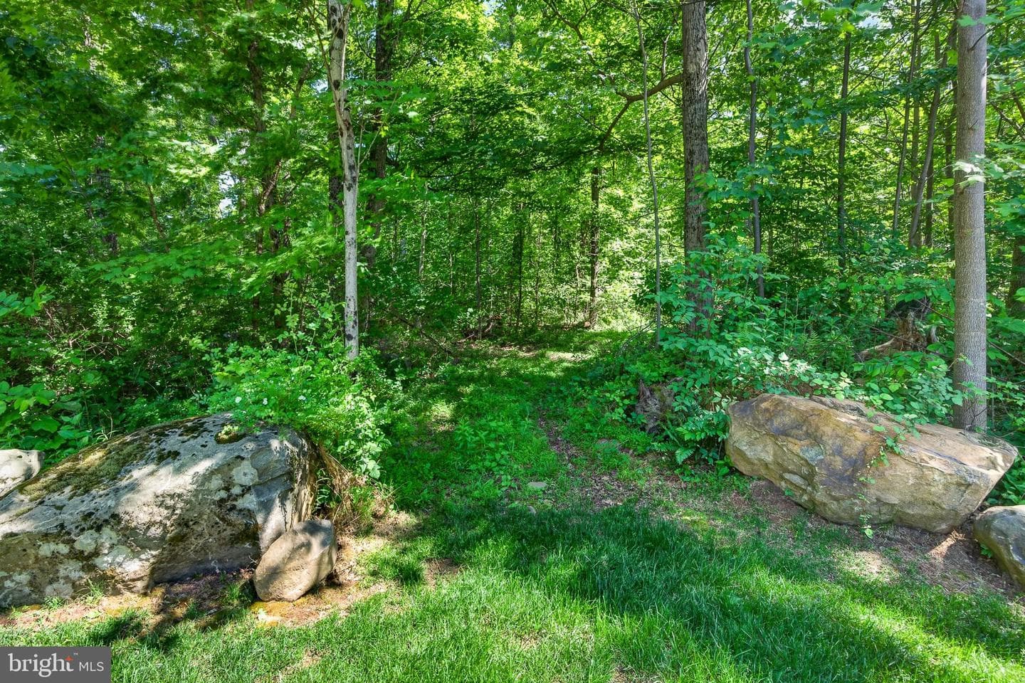 675 Rock Hill Road photo 65