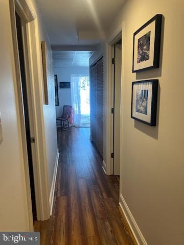 339 Ivanhoe Court photo 23