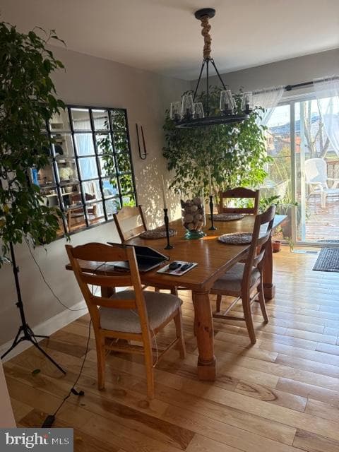 339 Ivanhoe Court photo 4