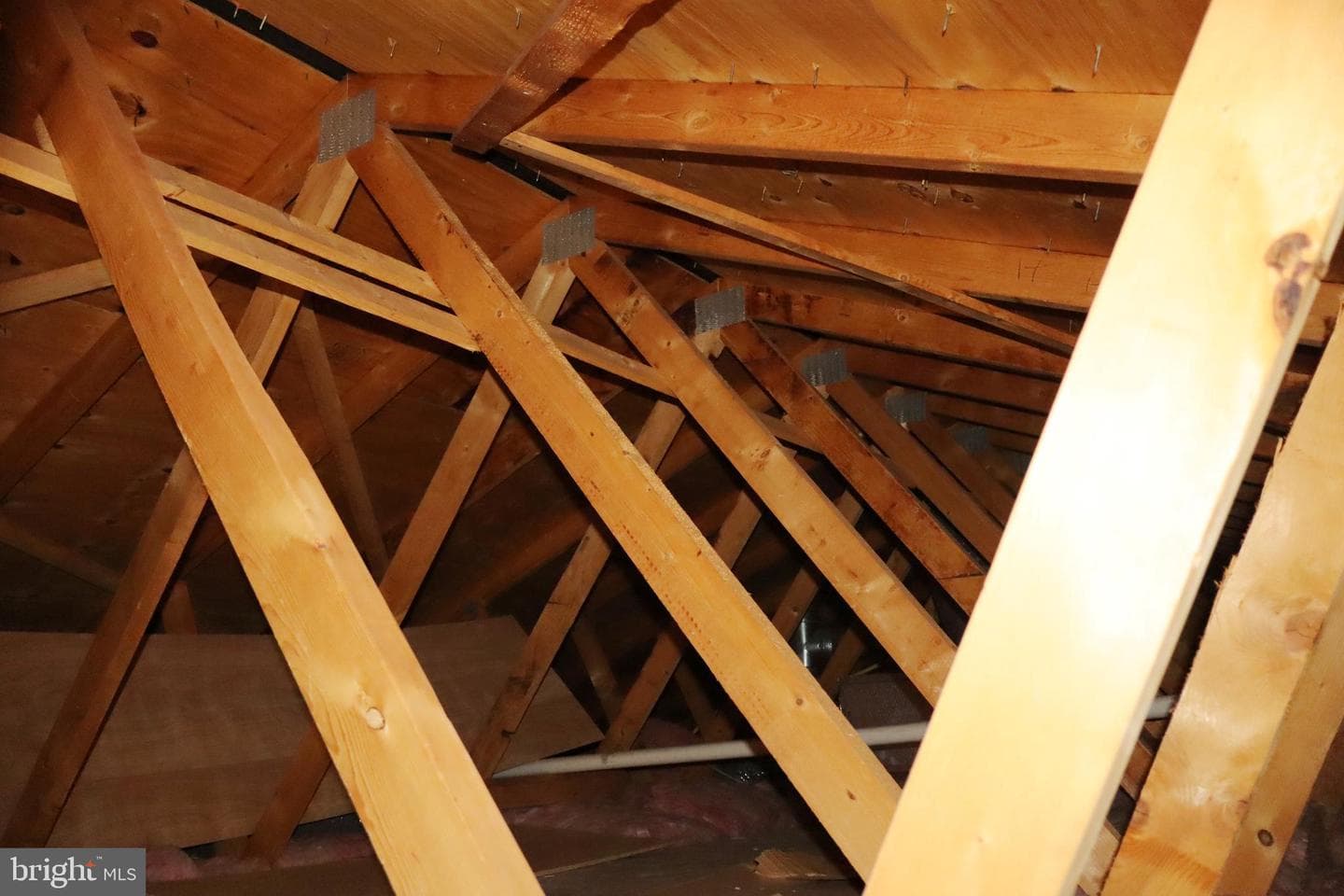 229 Suffolk Road photo 35