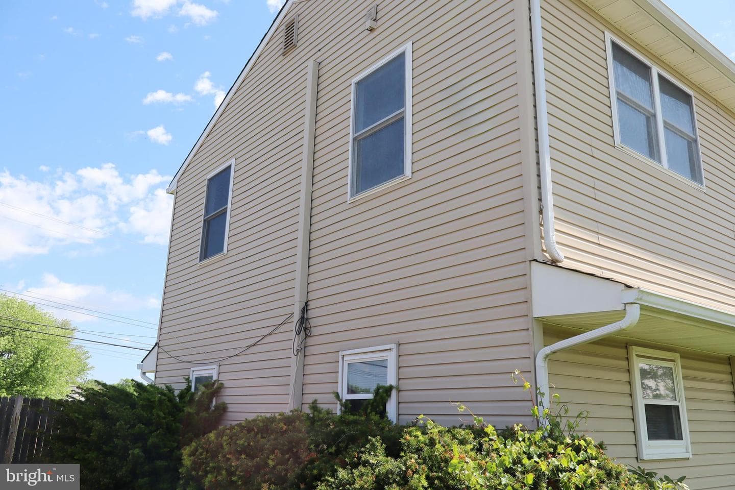 229 Suffolk Road photo 5