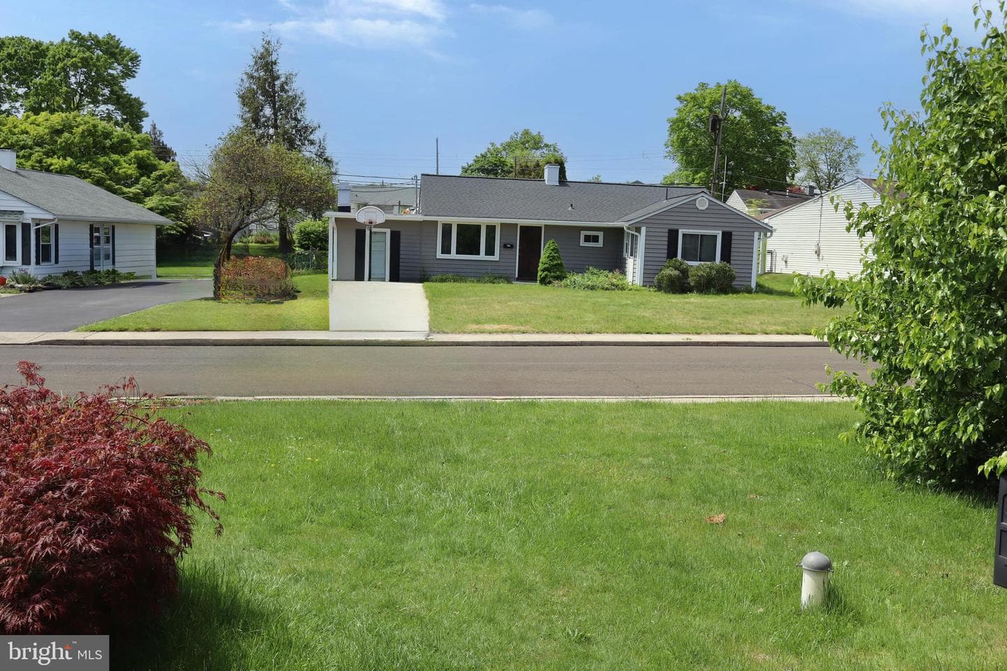 229 Suffolk Road photo 6