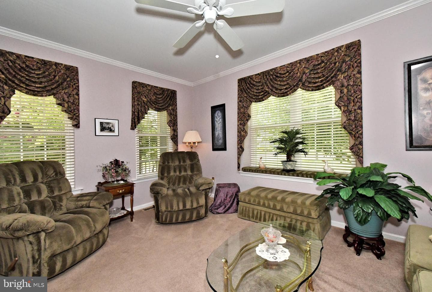 404 English Ivy Drive photo 12